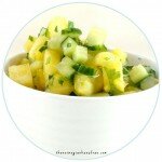 PineappleSalsa570